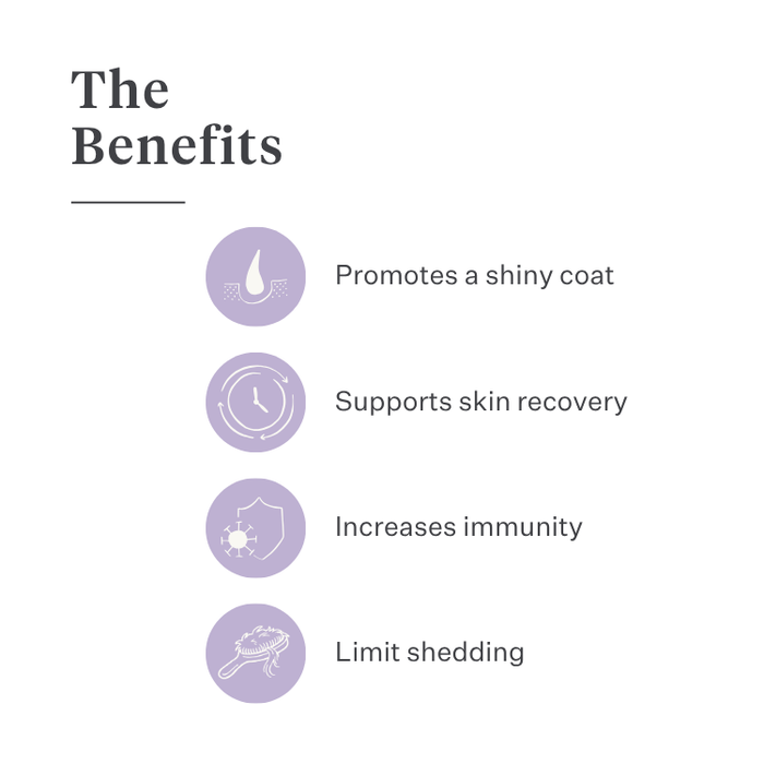 Imby Skin Health supplement for dogs, supports overall health and daily vitality, helps maintain immune function and healthy skin and coat, fills nutritional gaps in the daily diet, vet-formulated balanced support suitable for daily use. | localization: EN