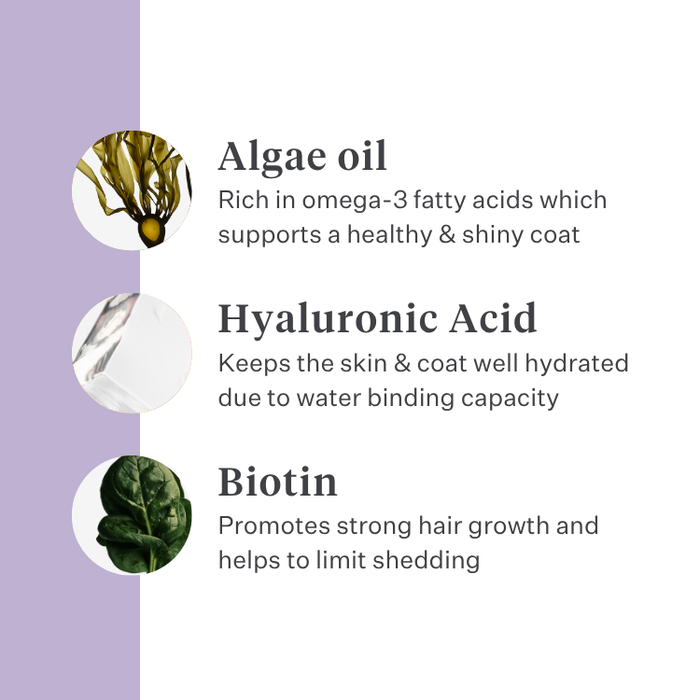 Imby Skin Health supplement for dogs, supports overall health and daily vitality, helps maintain immune function and healthy skin and coat, fills nutritional gaps in the daily diet, vet-formulated balanced support suitable for daily use. | localization: EN