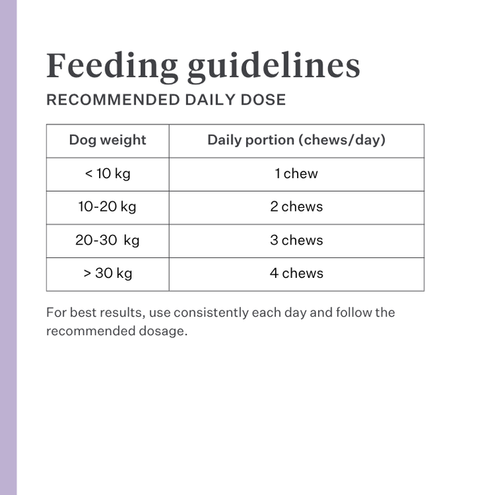 Imby Skin Health supplement for dogs, supports overall health and daily vitality, helps maintain immune function and healthy skin and coat, fills nutritional gaps in the daily diet, vet-formulated balanced support suitable for daily use. | localization: EN