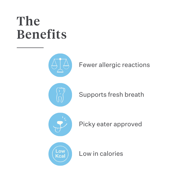 Imby Plant-Based dental sticks for dogs, supports dental health and helps reduce plaque buildup, helps clean teeth and support healthy gums, infused with mint and parsley for fresh breath, natural and highly palatable daily chew. | localization: EN