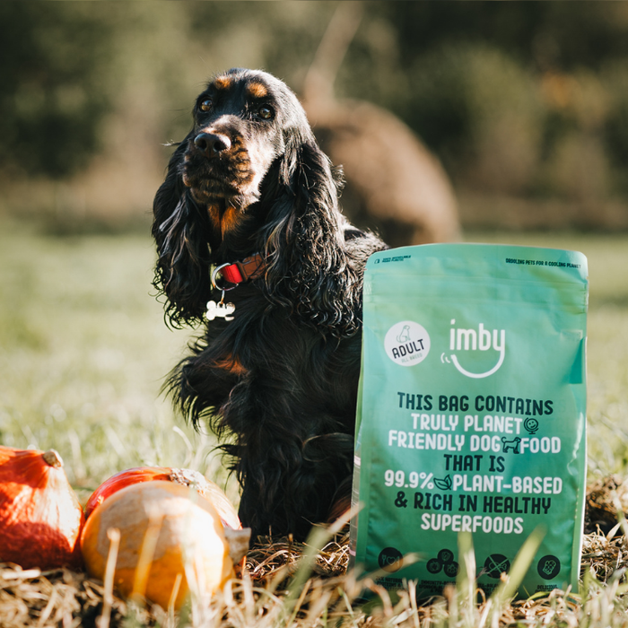 IMBY Plant-Based Dog Food