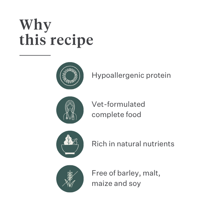 Imby Plant Based dog food, complete meat-free dry food for dogs, made with plant-based proteins and natural superfoods, supports digestion and overall wellbeing, hypoallergenic and low-calorie formula, balanced nutrition developed by vets, highly palatable kibble. | localization: EN