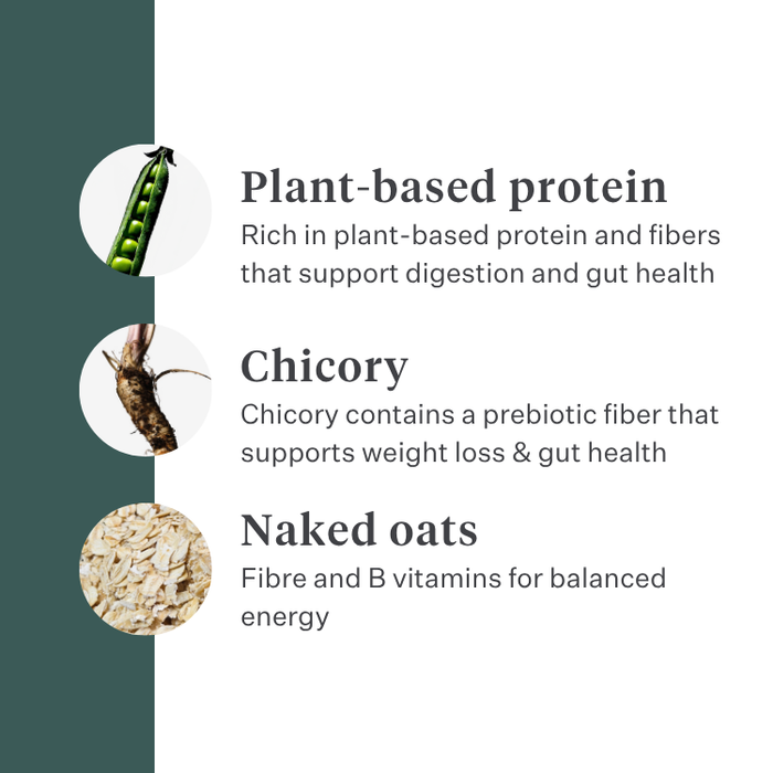 Imby Plant Based dog food, complete meat-free dry food for dogs, made with plant-based proteins and natural superfoods, supports digestion and overall wellbeing, hypoallergenic and low-calorie formula, balanced nutrition developed by vets, highly palatable kibble. | localization: EN