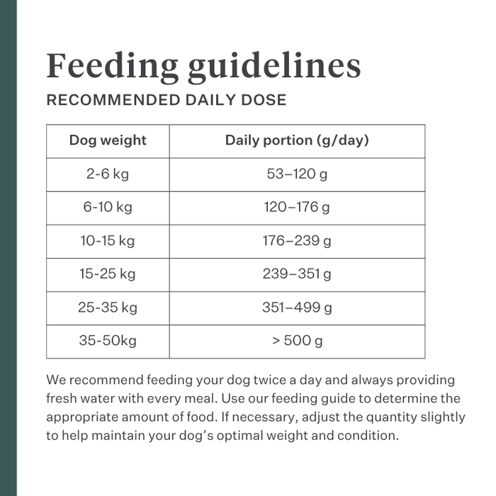 Imby Plant Based dog food, complete meat-free dry food for dogs, made with plant-based proteins and natural superfoods, supports digestion and overall wellbeing, hypoallergenic and low-calorie formula, balanced nutrition developed by vets, highly palatable kibble. | localization: EN