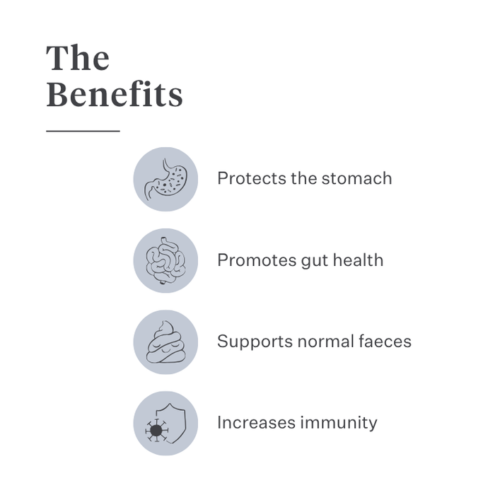 Imby Probiotics supplement for dogs, supports gut health and balanced microbiome, helps promote firm and healthy stools, supports digestive comfort and regularity, hypoallergenic formula suitable for daily use, helps maintain gut resilience during stress or diet changes. | localization: EN