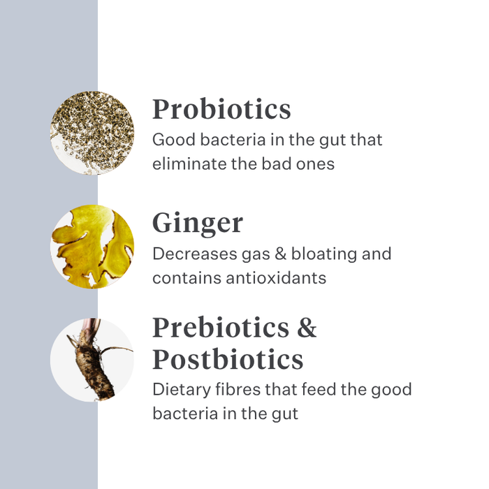 Imby Probiotics supplement for dogs, supports gut health and balanced microbiome, helps promote firm and healthy stools, supports digestive comfort and regularity, hypoallergenic formula suitable for daily use, helps maintain gut resilience during stress or diet changes. | localization: EN
