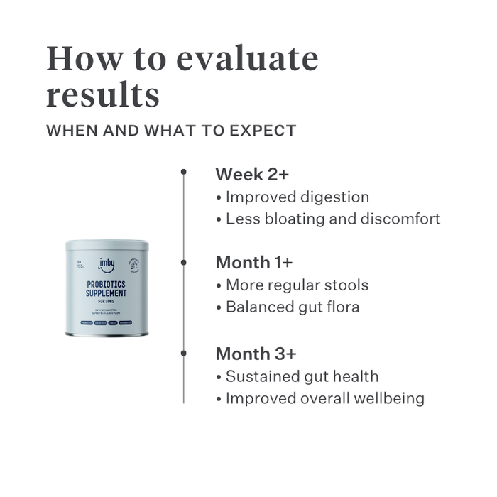 Imby Probiotics supplement for dogs, supports gut health and balanced microbiome, helps promote firm and healthy stools, supports digestive comfort and regularity, hypoallergenic formula suitable for daily use, helps maintain gut resilience during stress or diet changes. | localization: EN