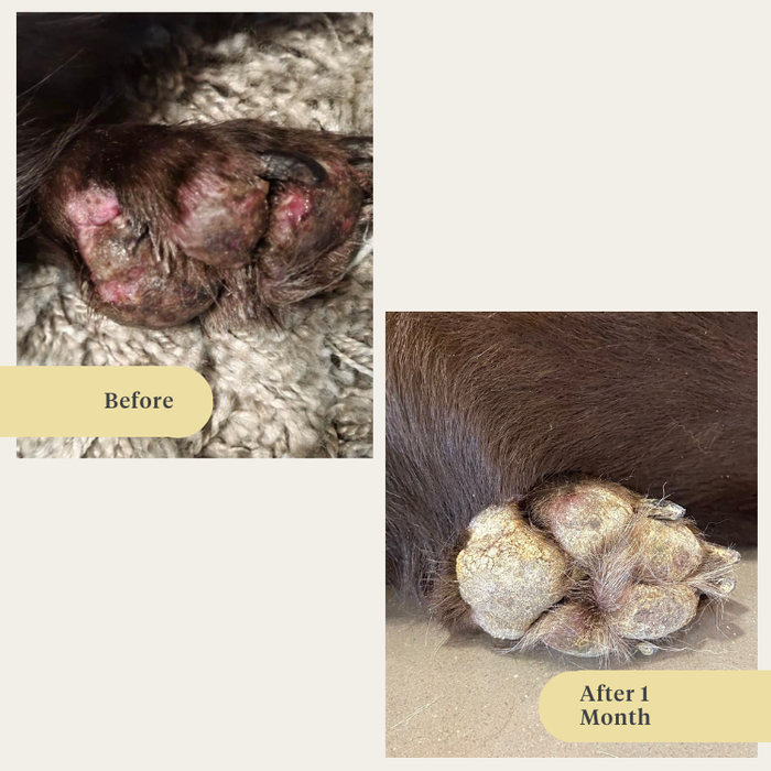 dog, puppy, salmon oil, omega-3, itchy skin, dry skin, joints, immunity, supplement, food supplement | localization: EN