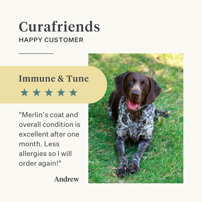 dog, puppy, salmon oil, omega-3, itchy skin, dry skin, joints, immunity, supplement, food supplement | localization: EN
