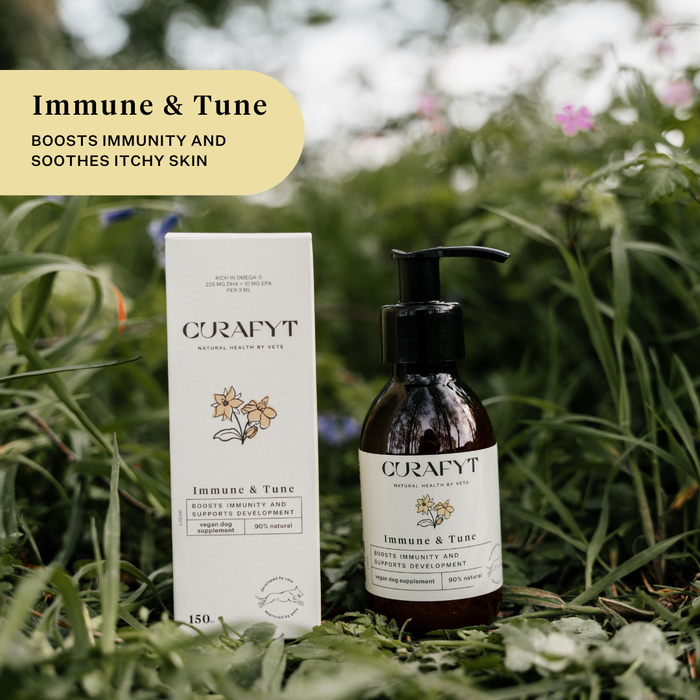 Immune and Tune Pump