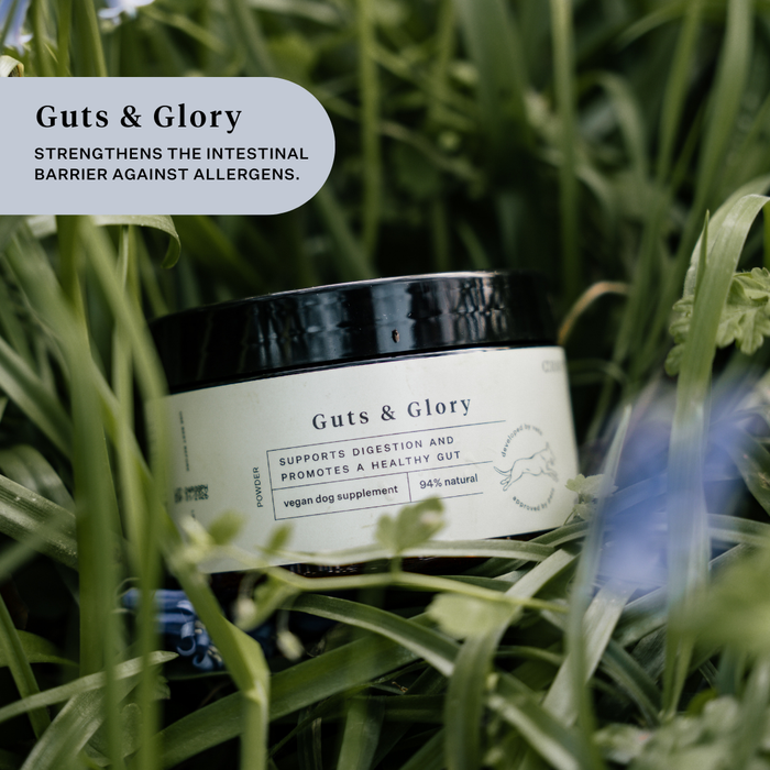 Guts and Glory Pot