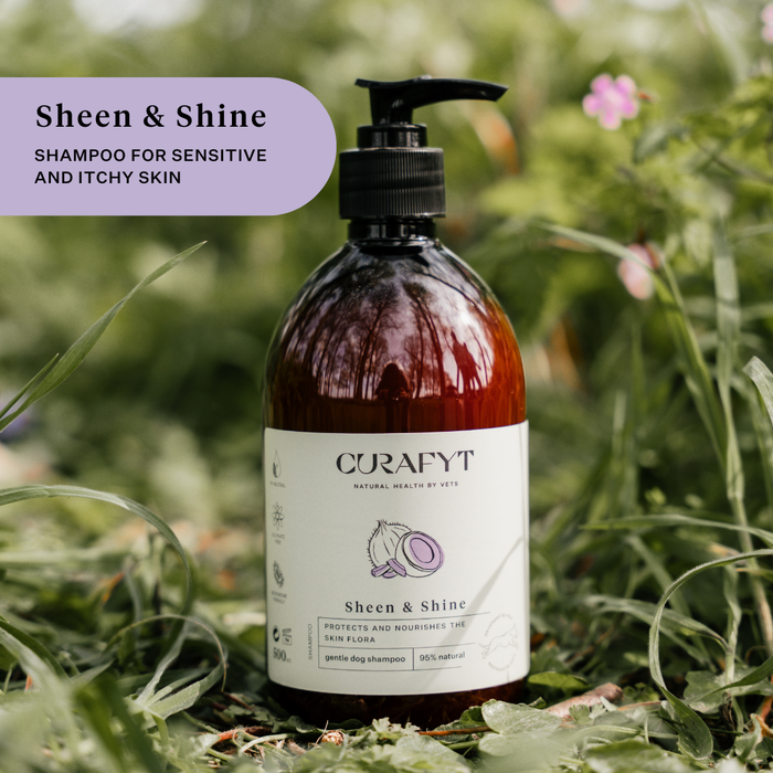 Sheen and Shine Pump