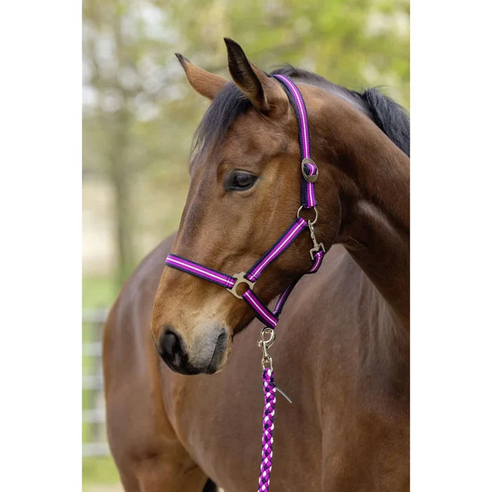 Kantar Covalliero Hippo S/S 2026, dark navy / light berry