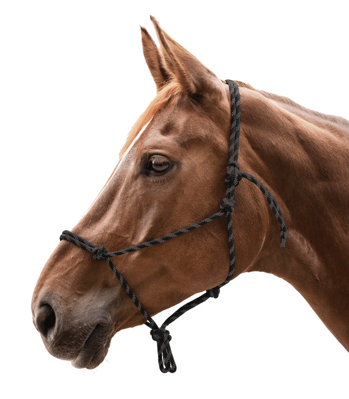 Kantar sznurkowy Waldhausen Knotted Halter Black/Brown