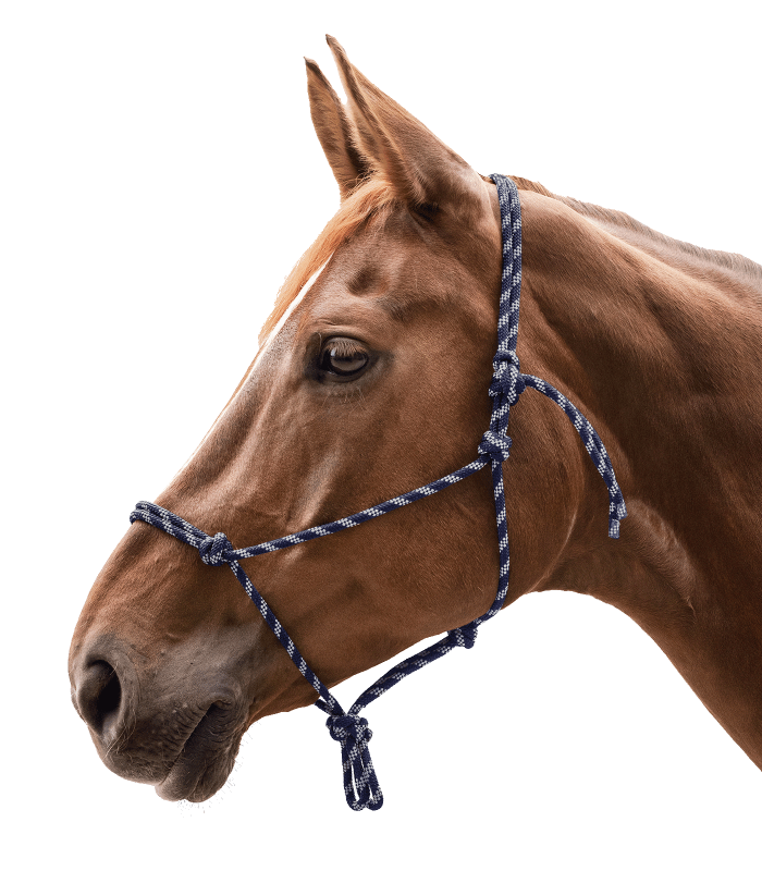 Kantar sznurkowy Waldhausen Knotted Halter Night Blue/Silver