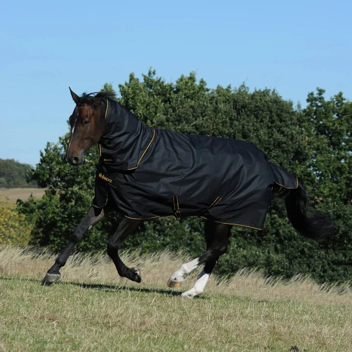 Kaptur Bucas Irish Neck - Cavalo