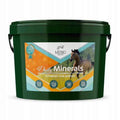 Mebio Daily Minerals minerały dla koni