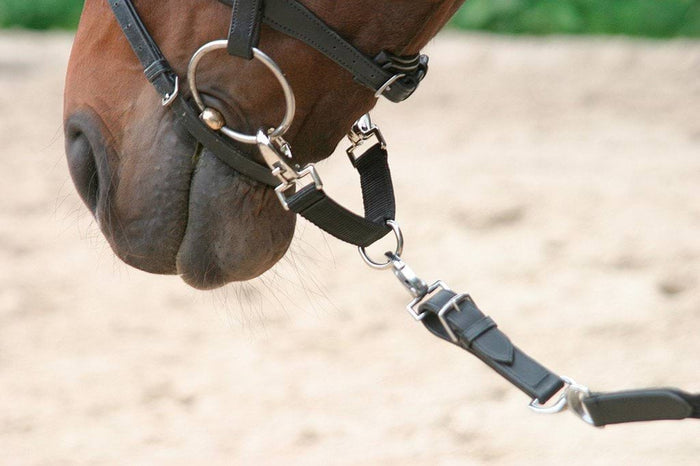 Mostek do lonżowania dla konia, Covalliero - Cavalo