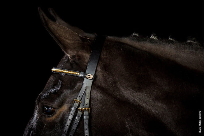 Ogłowie skórzane Schockemohle "Heidelberg" Black - Cavalo