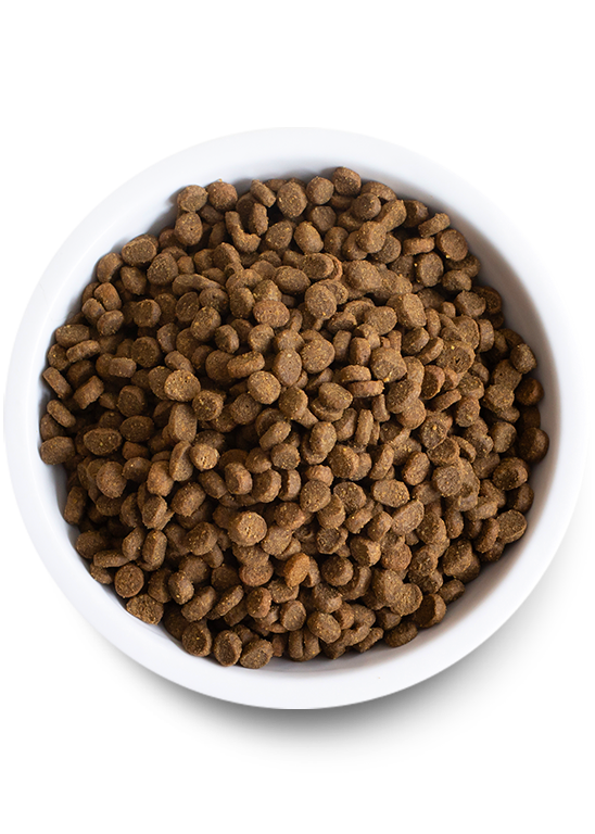 Open Farm Homestead Turkey & Chicken Dry Cat Food