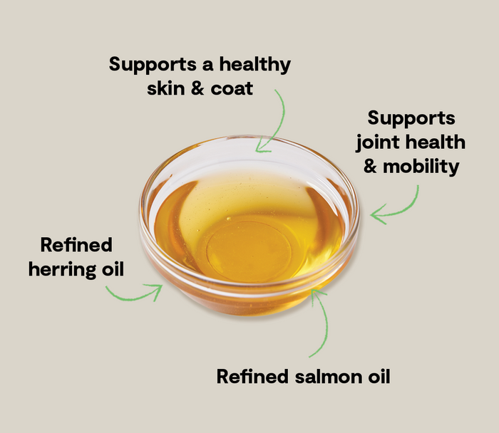 Open Farm Icelandic Herring & Salmon Oil For Dogs