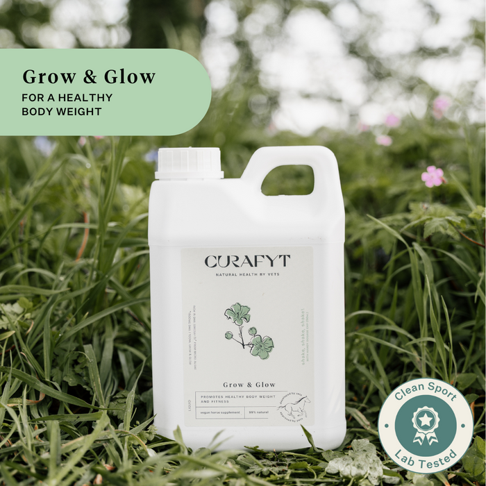 Grow and Glow