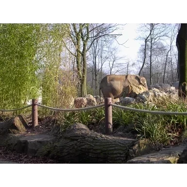 Palik ogrodzeniowy recyklingowy okrągły 150 cm x 45 mm