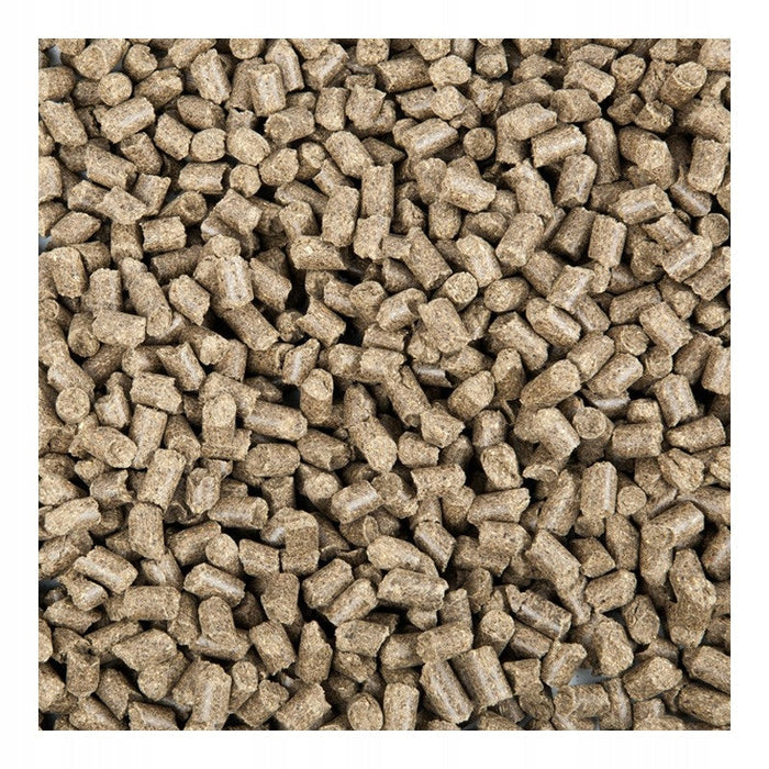 PASZA HOVELER PUR.GASTRO ZDROWY ŻOŁĄDEK 20 kg - Cavalo