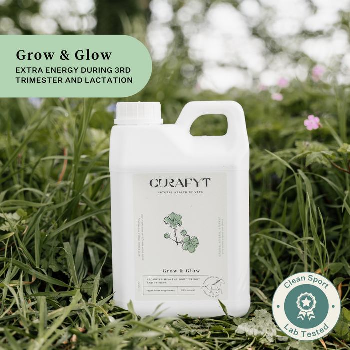 Grow and Glow