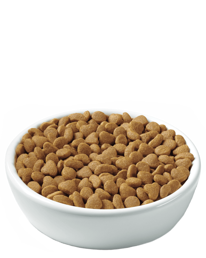 Purina Pro Plan Adult Indoor Turkey & Rice Formula Dry Cat Food