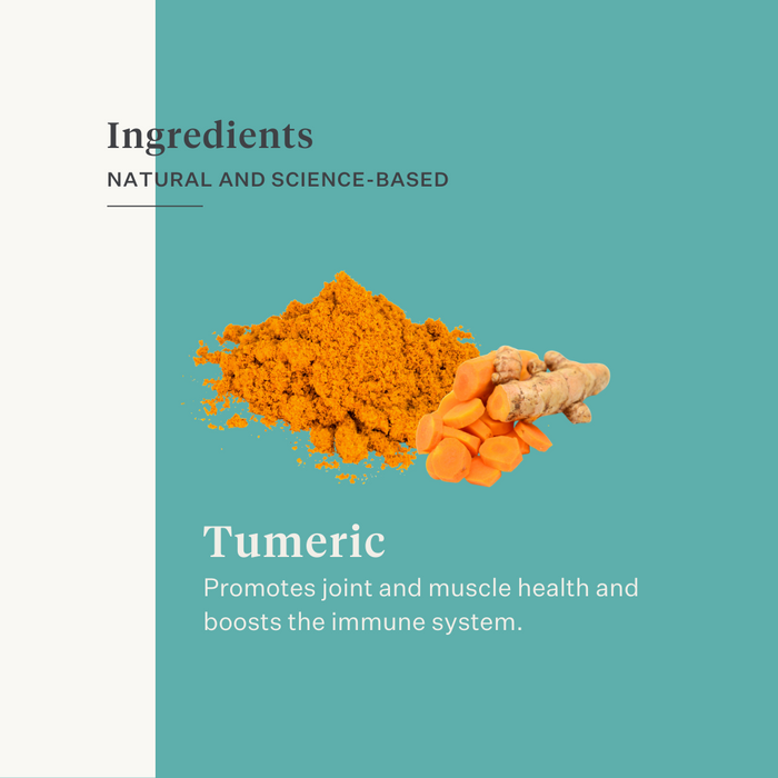 immunity skin gut turmeric curcumin horse pony| localization: EN