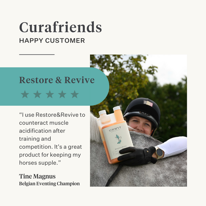 immunity skin gut turmeric curcumin horse pony| localization: EN