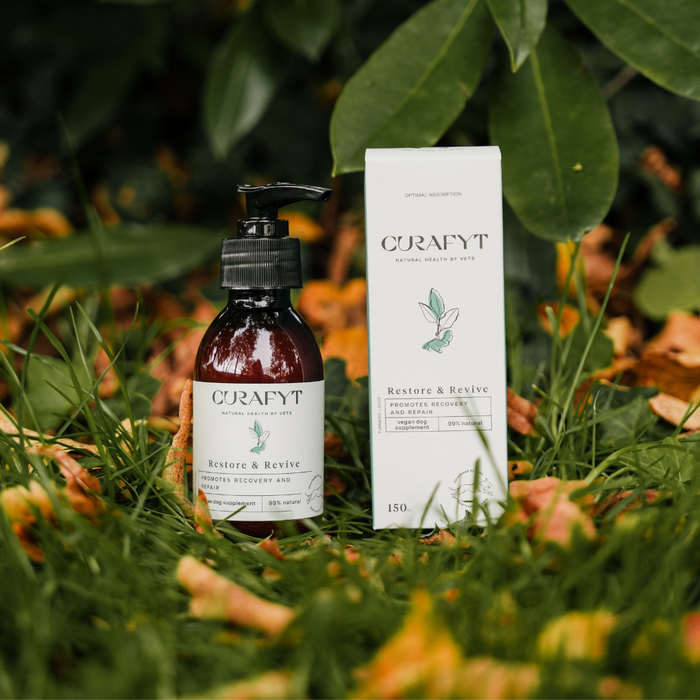 Restore & Revive Supplement
