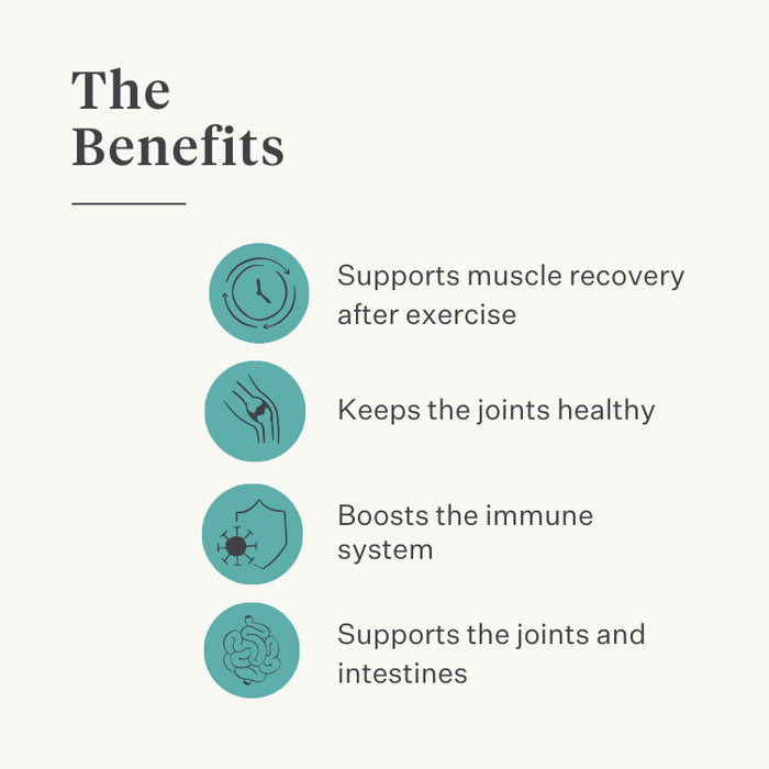 Natural turmeric curcuma longa supplement dog joints | localization: EN