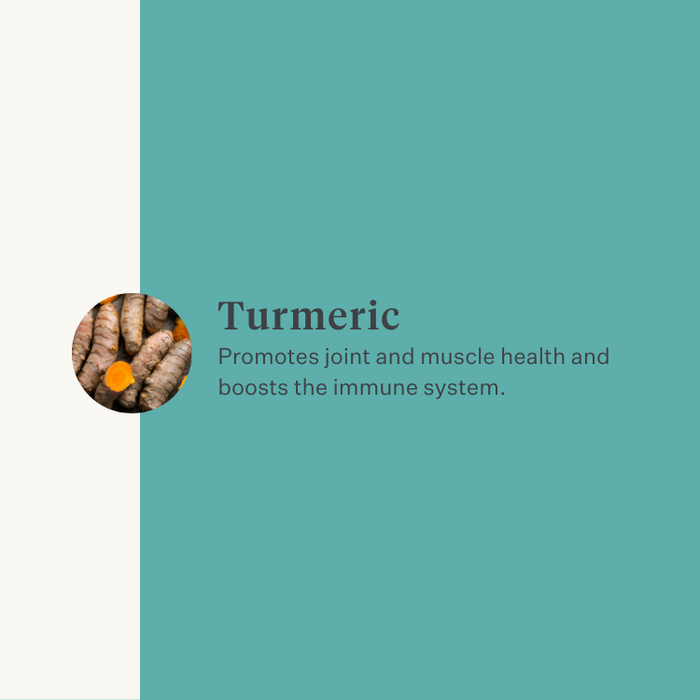 Natural turmeric curcuma longa supplement dog joints | localization: EN