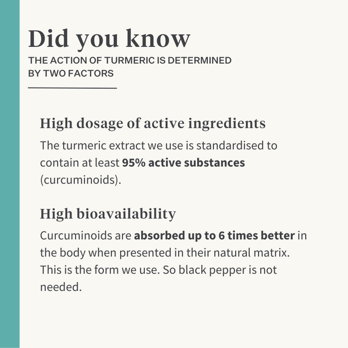 Natural turmeric curcuma longa supplement dog joints | localization: EN