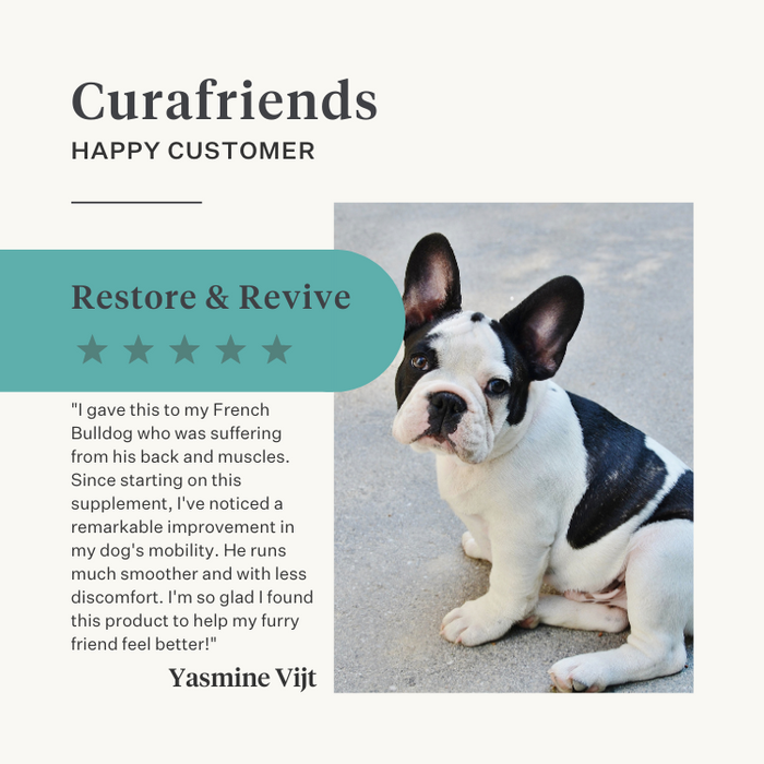Natural turmeric curcuma longa supplement dog joints | localization: EN