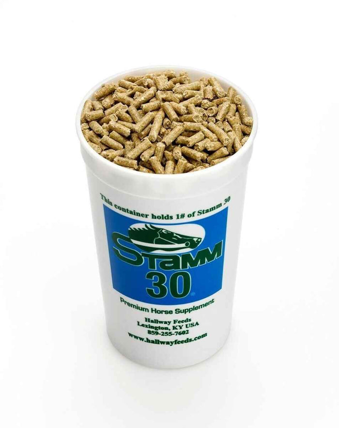 Saracen Stamm 30 Concentrate 20kg - pasza dla koni wyczynowych i hodowlanych