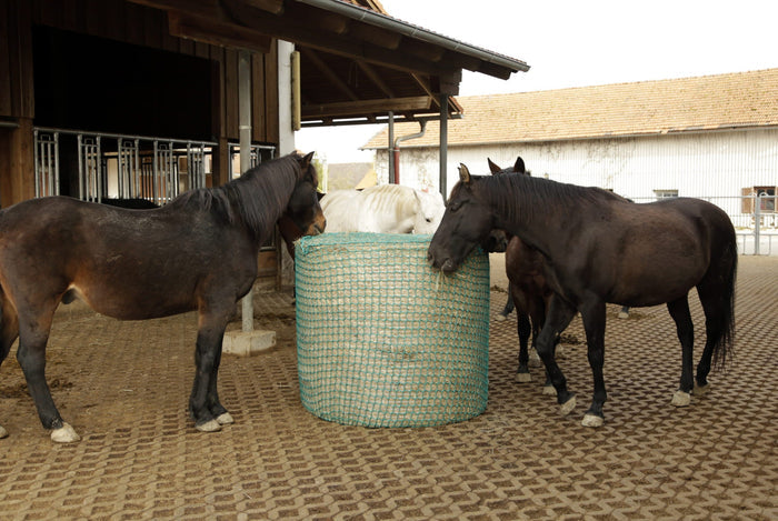 Siatka na siano do bel, zielony, 150 x 150 cm, oczko 4,5 cm, Kerbl - Cavalo