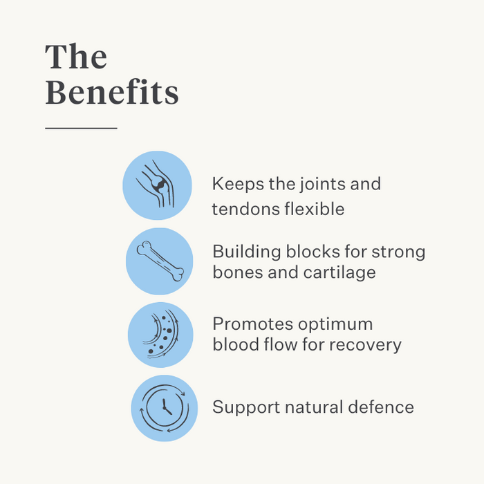 Natural supplement dog puppy joints ligaments tendons muscles | localization: EN