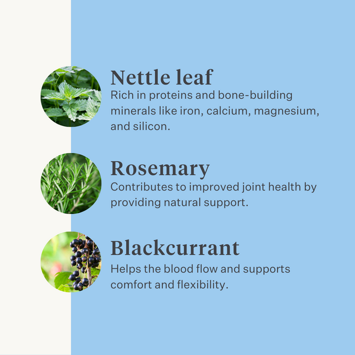 Natural supplement horse pony joints ligaments tendons muscles | localization: EN