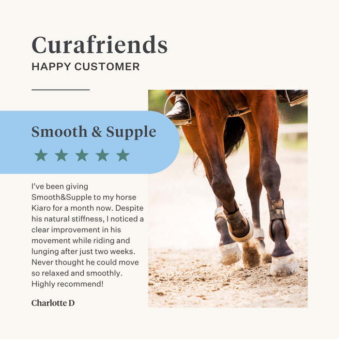 Natural supplement horse pony joints ligaments tendons muscles | localization: EN