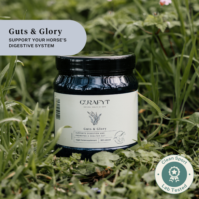 Guts and Glory Pot