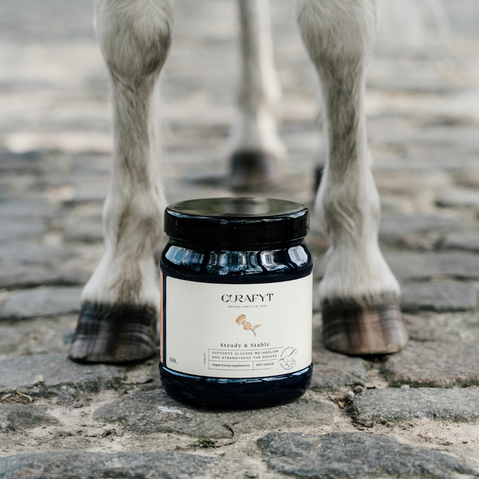 hooves steady and stable