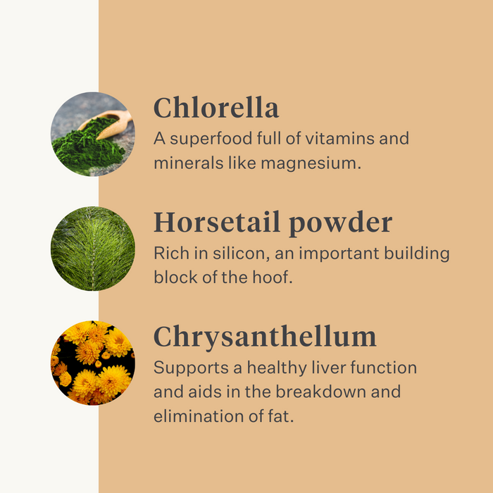 Steady&Stable Curafyt supplement horse pony laminitis hooves hoof sensitive ppid cushing | localization: EN