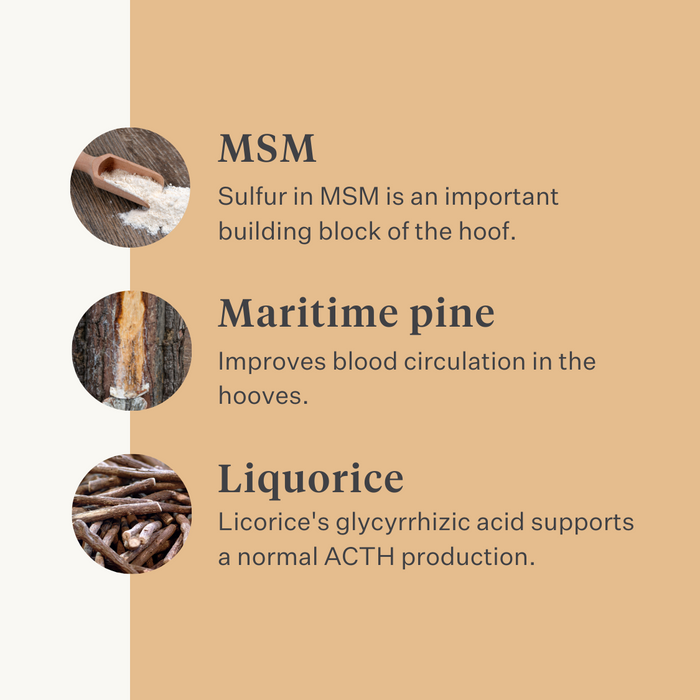Steady&Stable Curafyt supplement horse pony laminitis hooves hoof sensitive ppid cushing | localization: EN