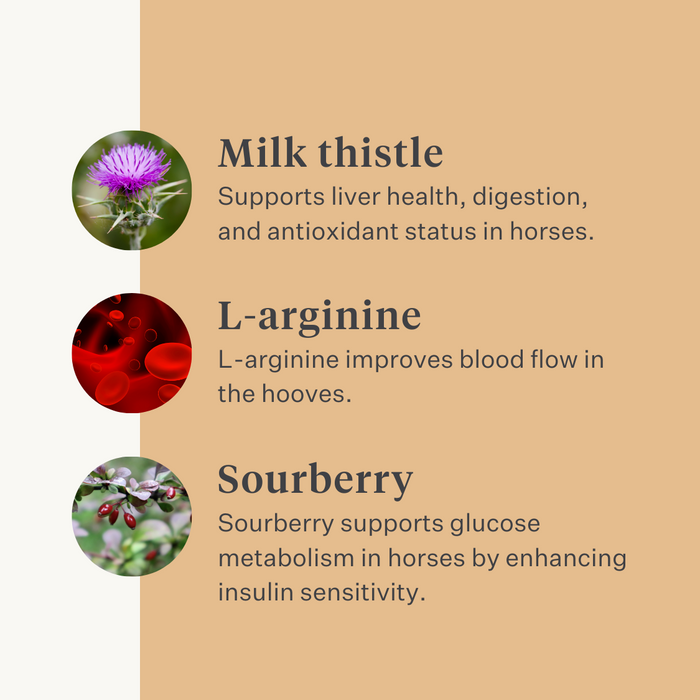 Steady&Stable Curafyt supplement horse pony laminitis hooves hoof sensitive ppid cushing | localization: EN