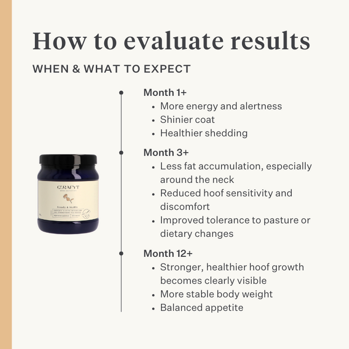 Steady&Stable Curafyt supplement horse pony laminitis hooves hoof sensitive ppid cushing | localization: EN