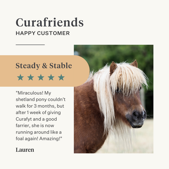 Steady&Stable Curafyt supplement horse pony laminitis hooves hoof sensitive ppid cushing | localization: EN
