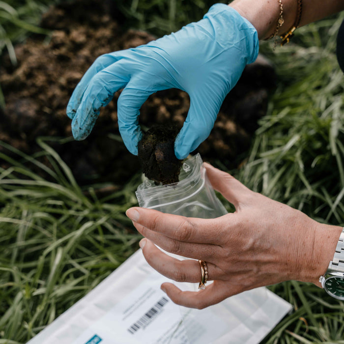 Worm Test Kit